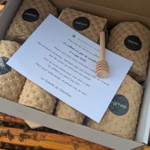 Coffret ouvert contenant des étuis nommés et une carte, posé sur les cadres d'une ruche couverte d'abeilles