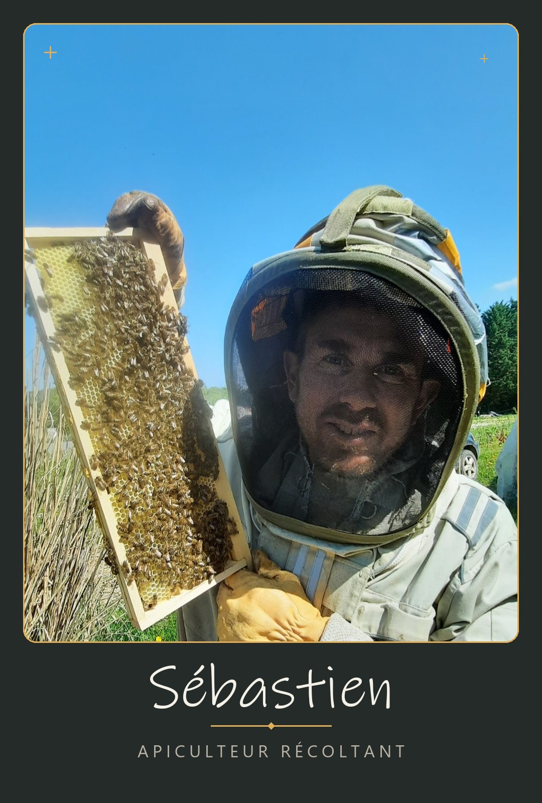Sébastien, apiculteur récoltant
